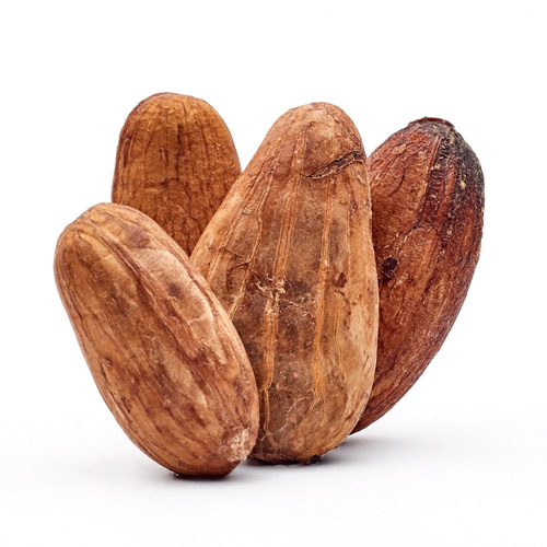 Fèves de Cacao Bio